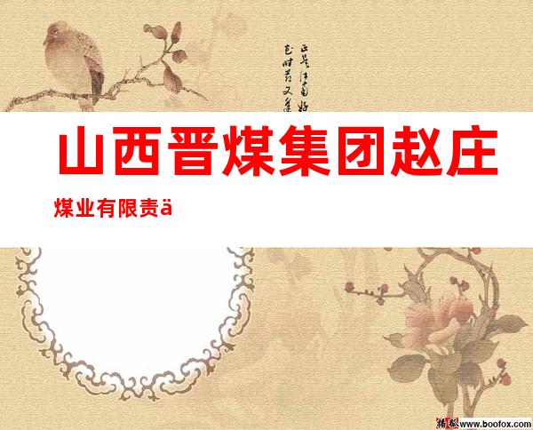 山西晋煤集团赵庄煤业有限责任公司